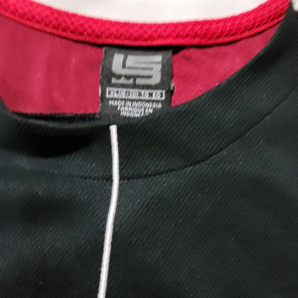 LeBron James basketball jersey, with his high school stats. - Picture 5 of 6